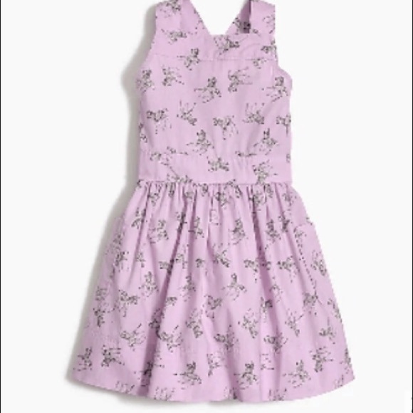 J.Crew Crewcuts Apron Dress in Zebra Print